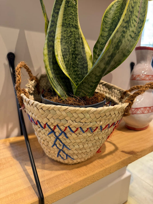 Pequeña Cesta / Organizador con Cordones de Colores (Azul x Rojo)