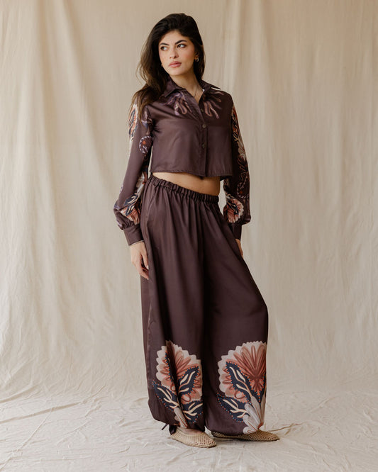 Sundrift Pants In Brown