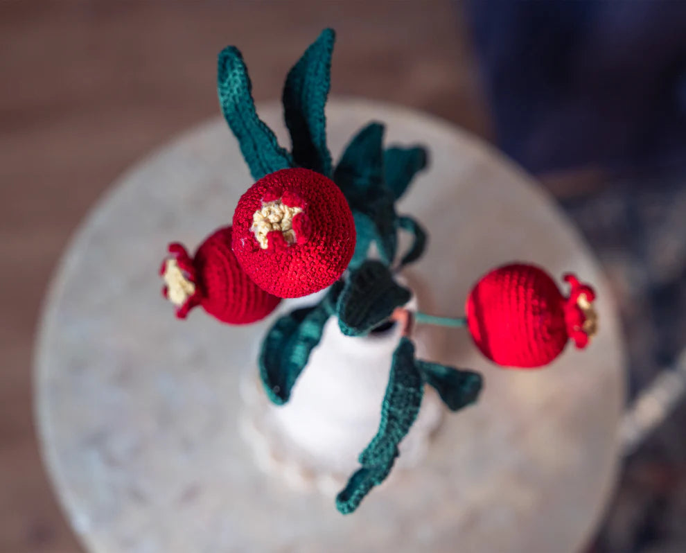 Pomegranate Duo Branch