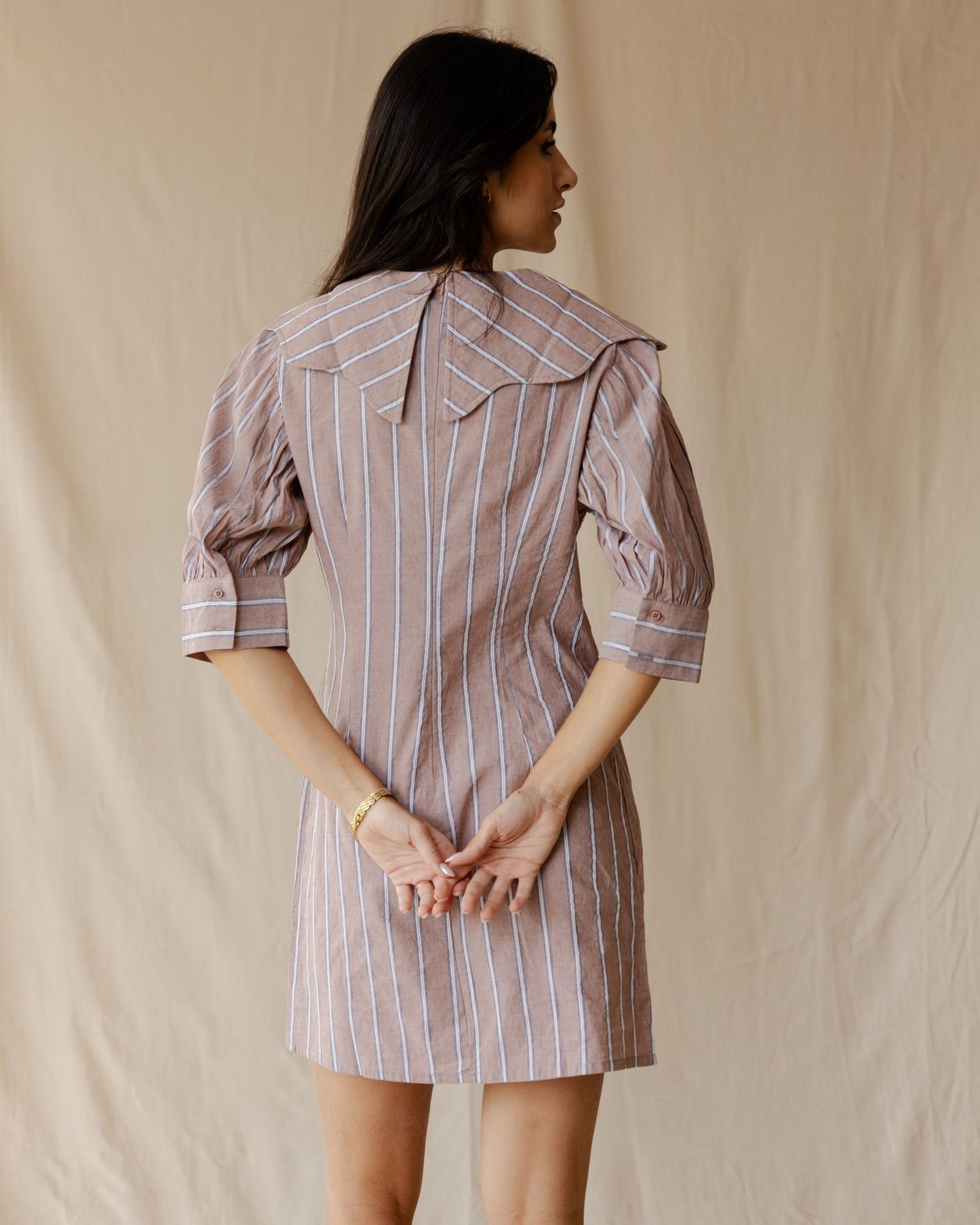 The Petite Poise Dust Pink Dress