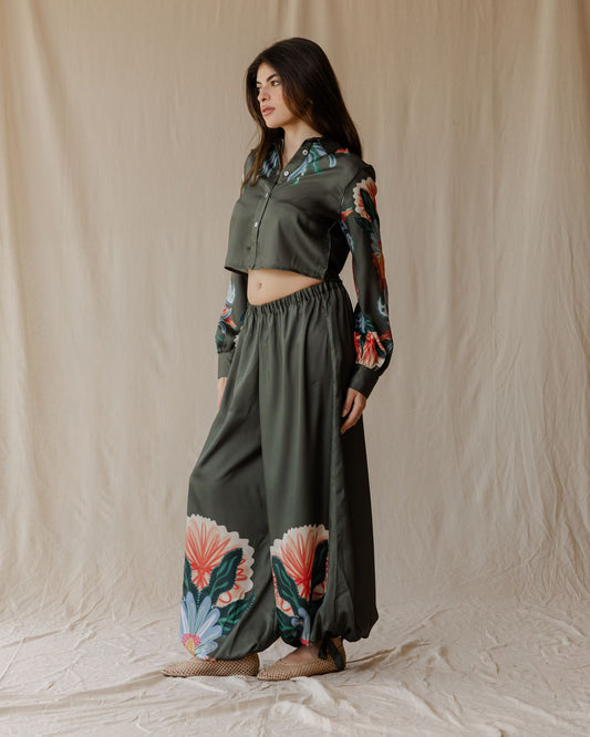 Sundrift Pants In Olive