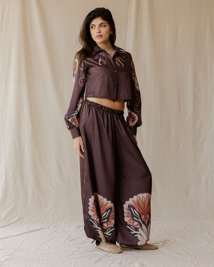 Sundrift Pants In Brown