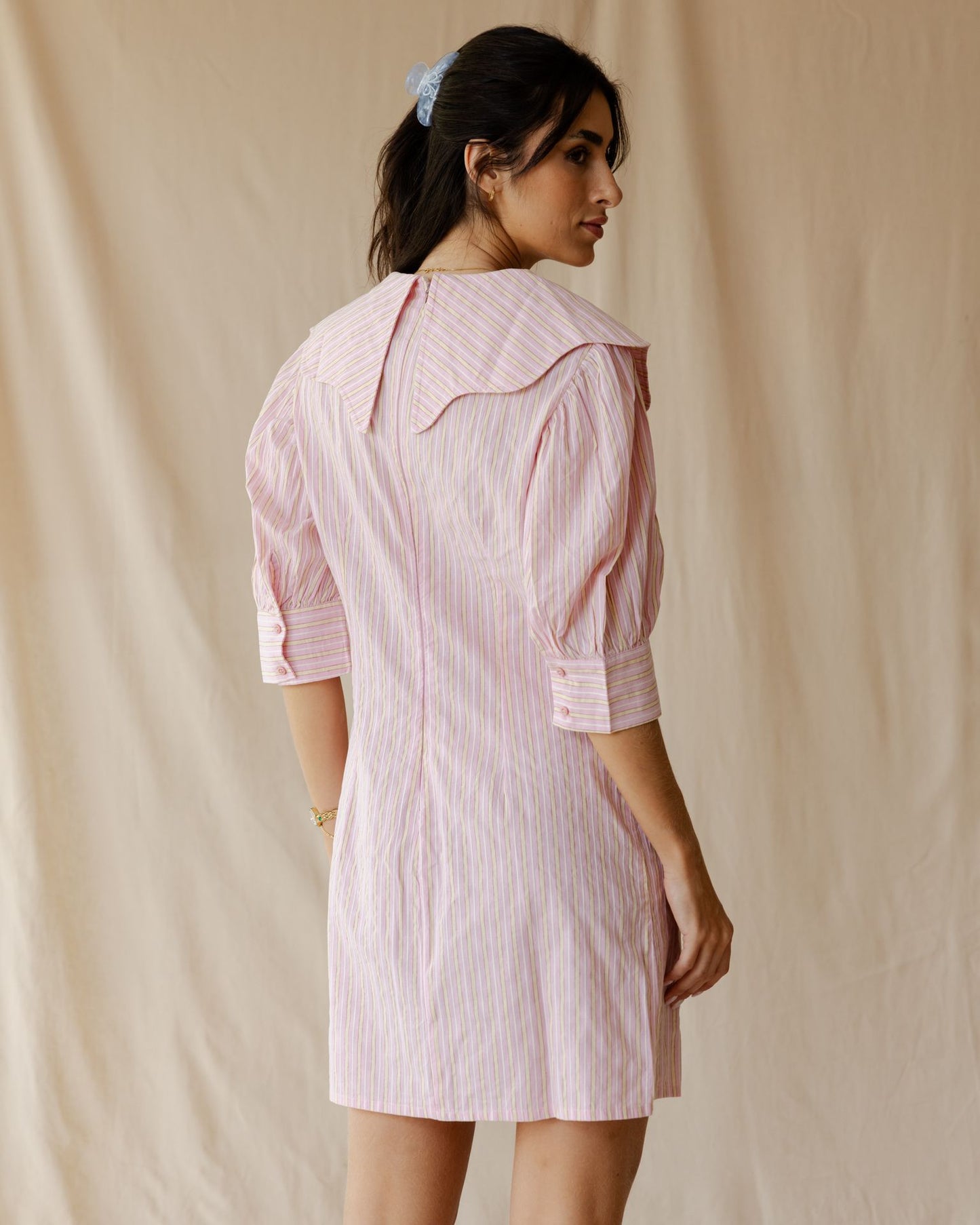 The Petite Poise Pink Dress
