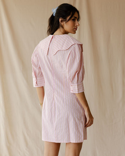 The Petite Poise Pink Dress