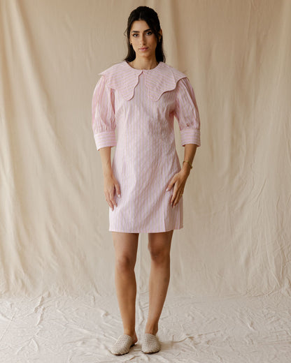 The Petite Poise Pink Dress