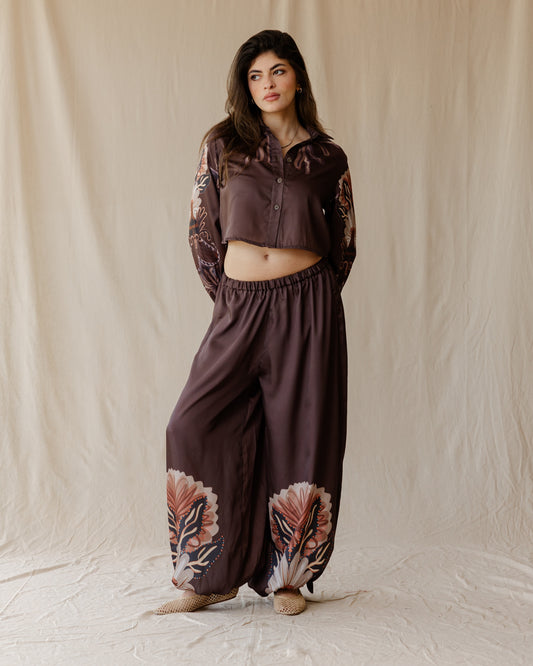 Sundrift Pants In Brown