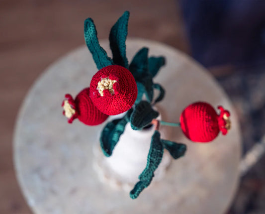 Pomegranate Duo Branch