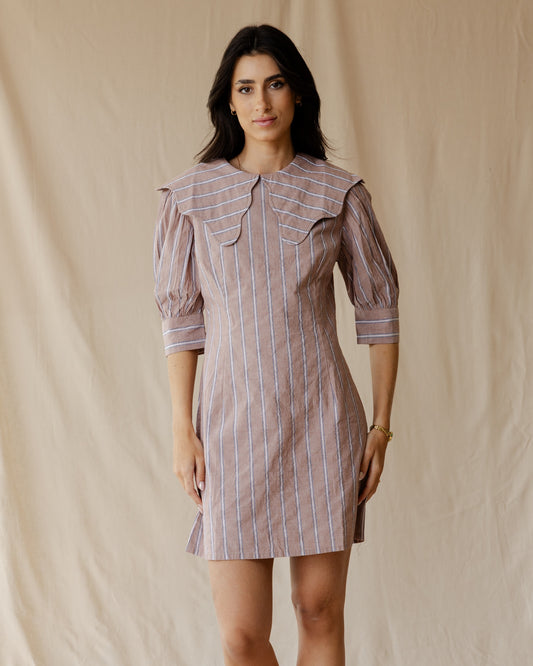 The Petite Poise Dust Pink Dress