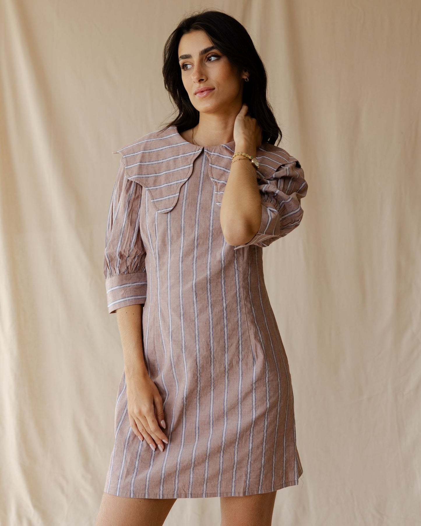 The Petite Poise Dust Pink Dress