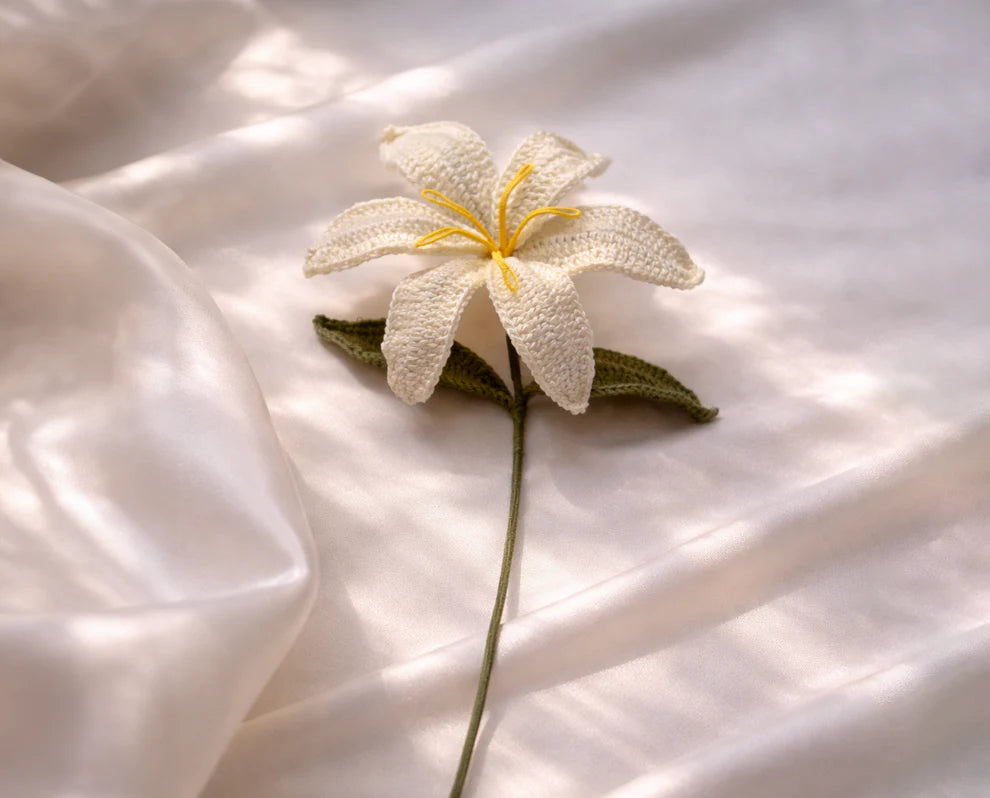 Ivory Lily