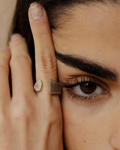 Anillo Harp