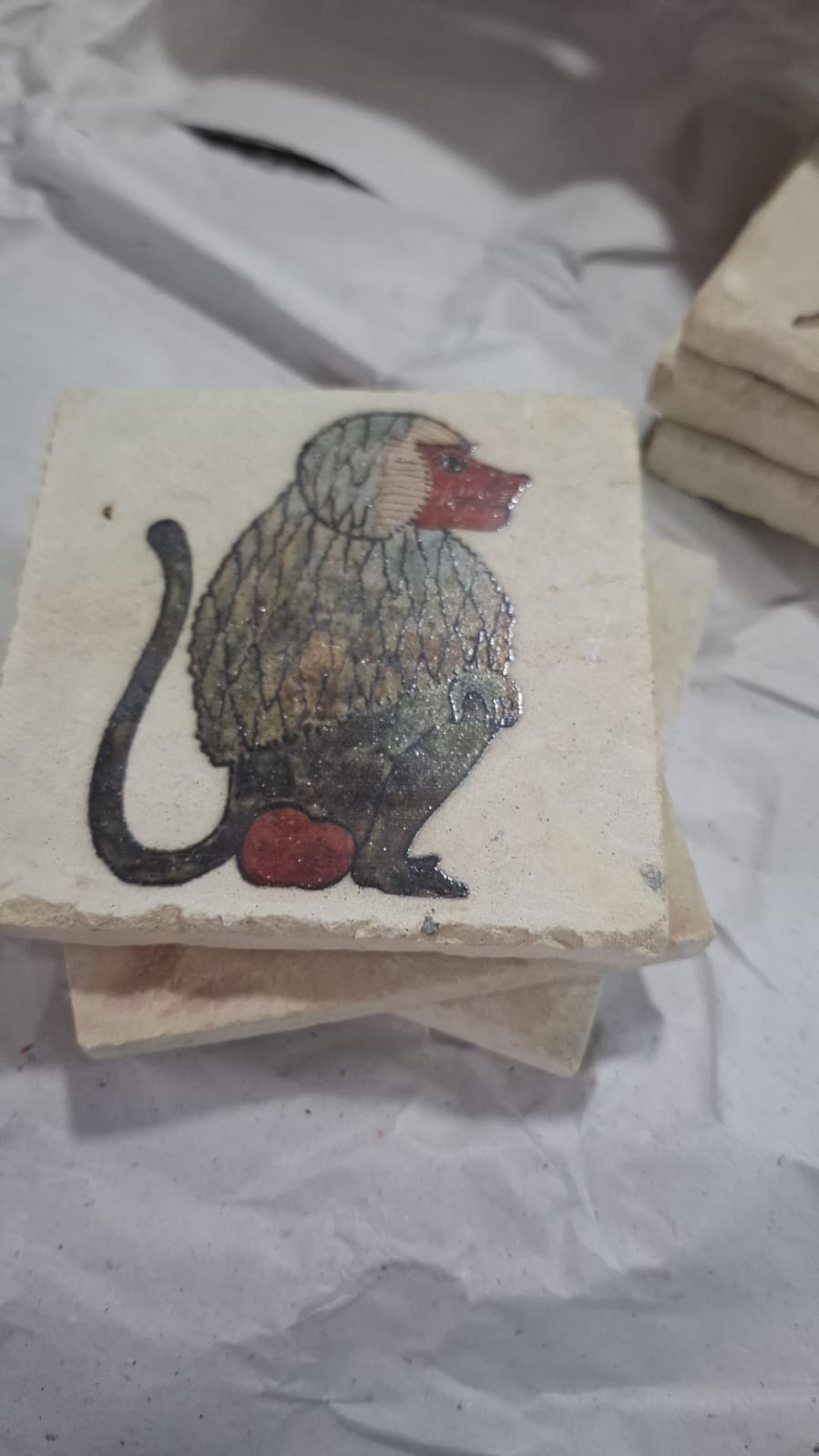 Baboon Stone Coaster