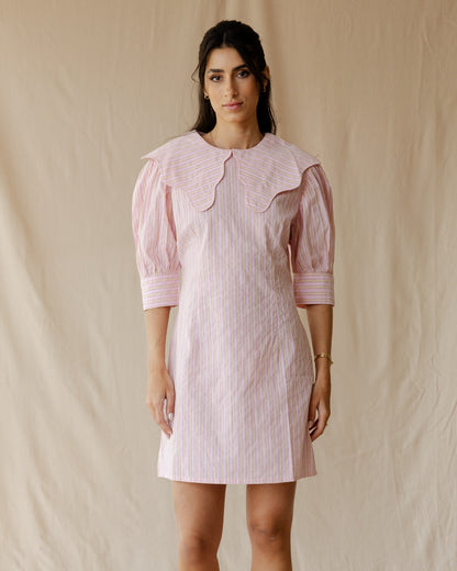 The Petite Poise Pink Dress