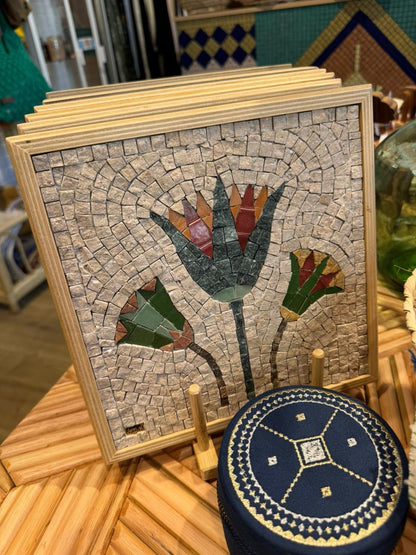 Amal Akhnoukh Frames