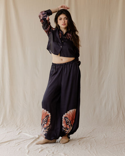 Sundrift Pants In Black