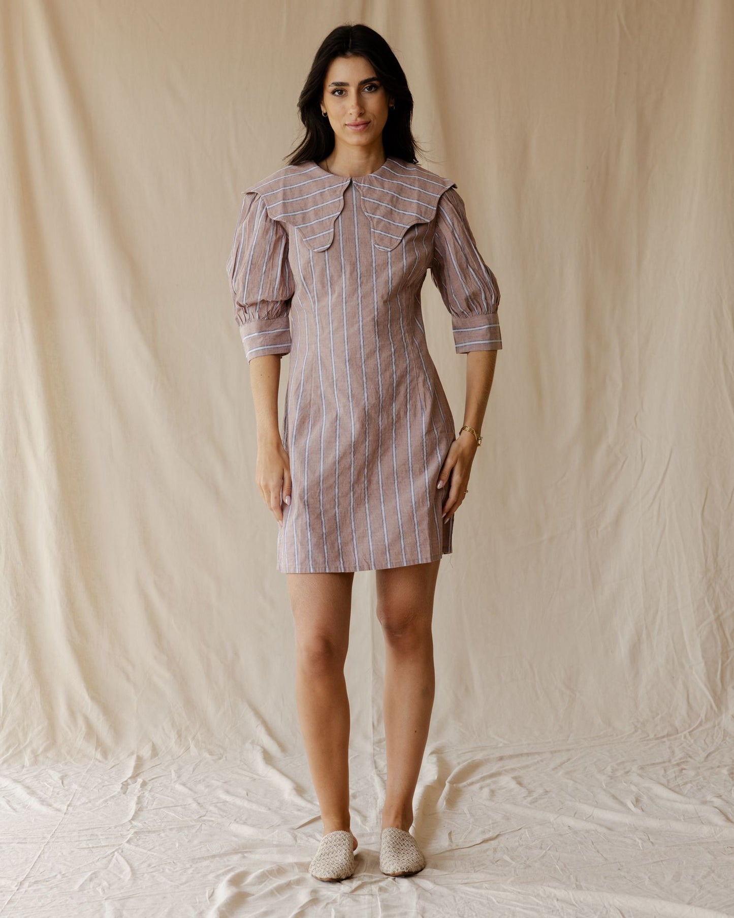 The Petite Poise Dust Pink Dress