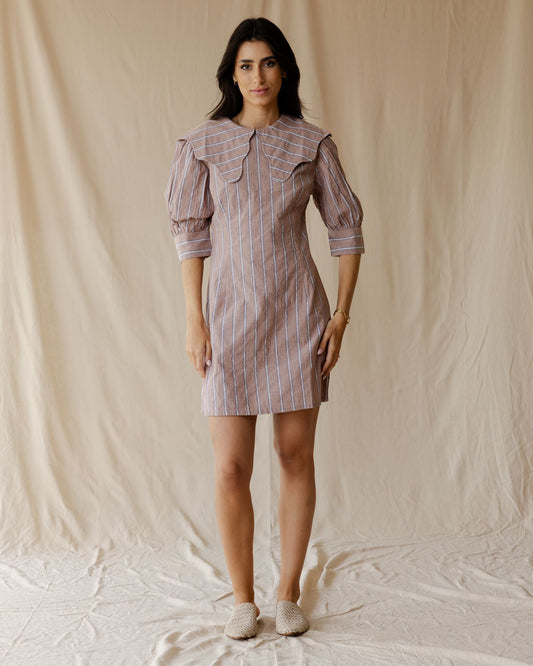 The Petite Poise Dust Pink Dress